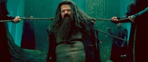 hagrid-harry-potter-and-the-deathly-hallows-part-2